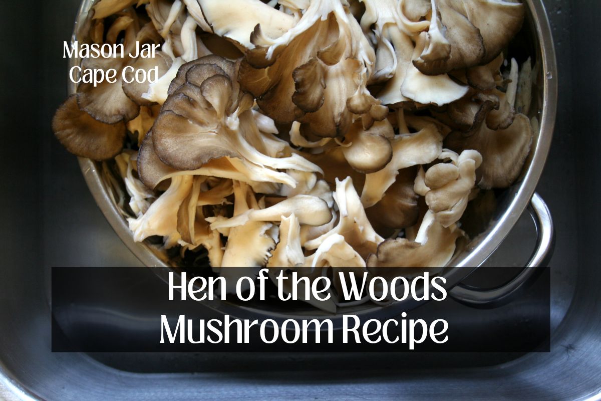 Hen of the Woods Mushroom Recipe